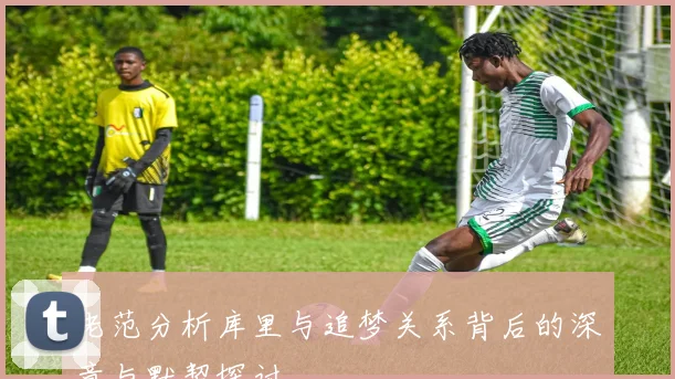 老范分析库里与追梦关系背后的深意与默契探讨